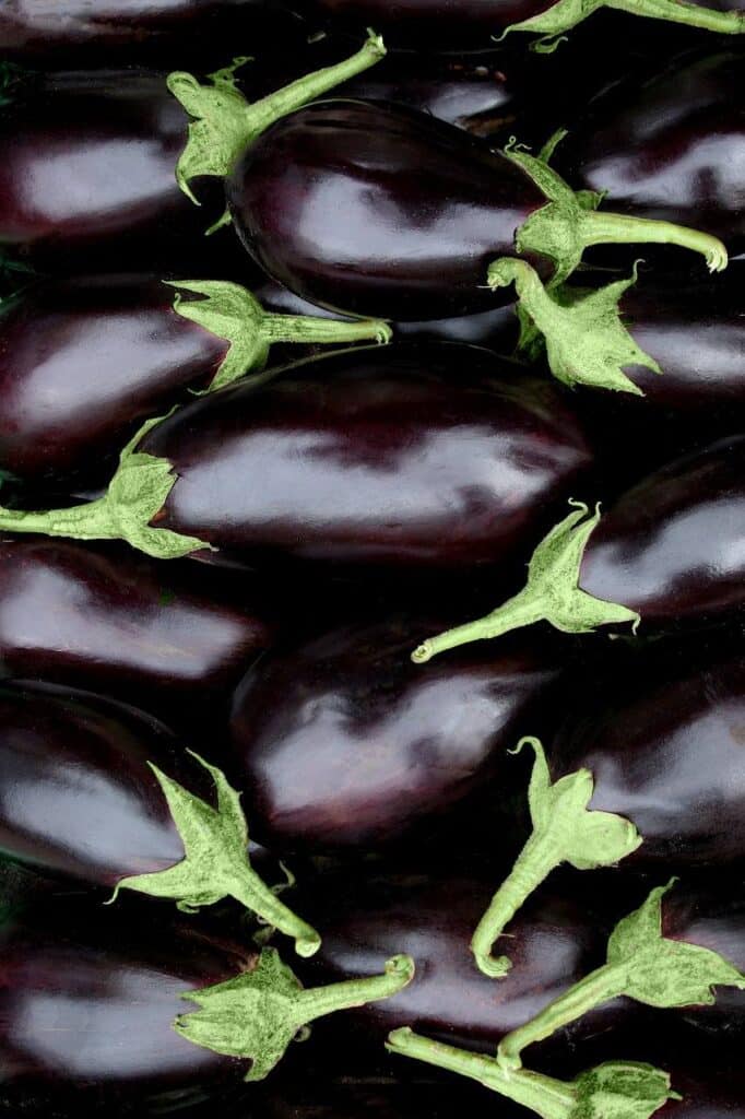 Melanzane 1