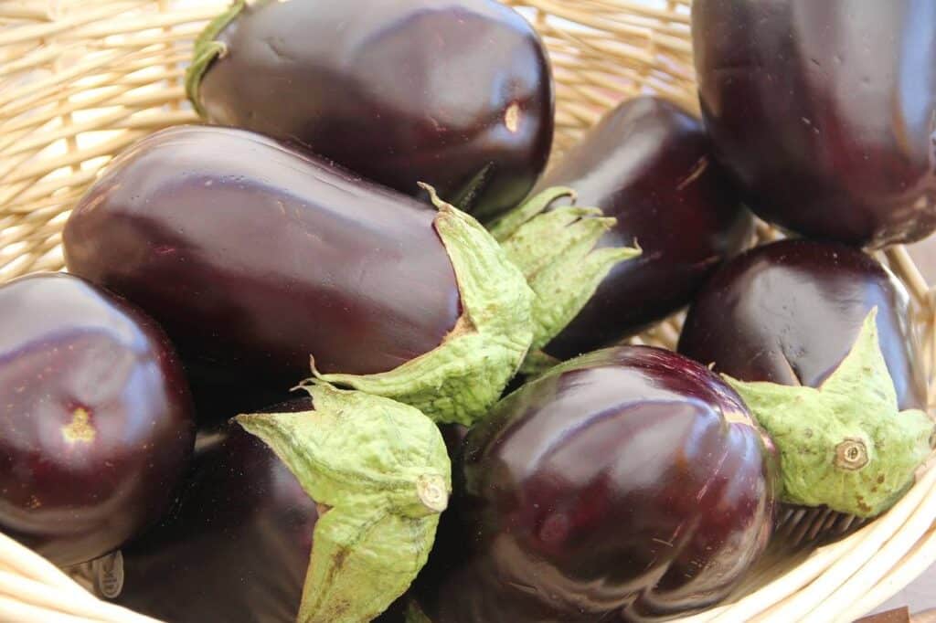 Melanzane: dalla semina al raccolto! 5 Melanzane 3