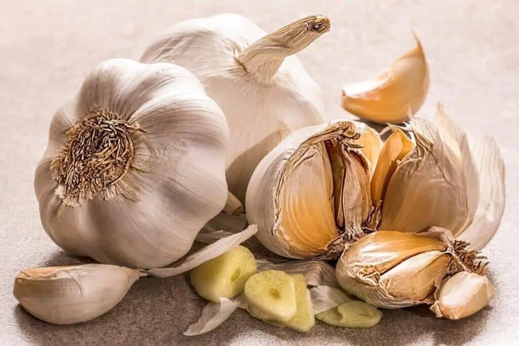 Semine di febbraio nell'orto e nel semenzaio! 20 ortaggi ed aromatiche! 1 Semine di febbraio - cipolle