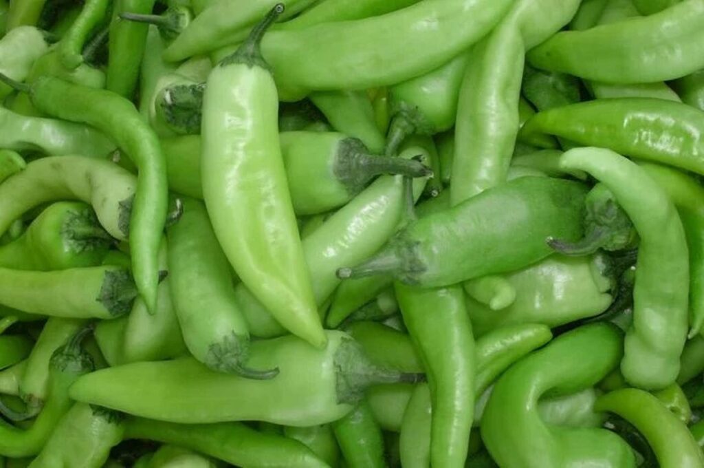 Come coltivare i peperoni! 4 consigli! 4 Come coltivare i Peperoni nell'orto - peperoni friggitelli