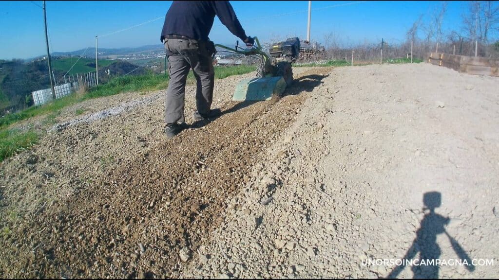Come coltivare i pomodori: guida completa dal terreno alla raccolta 2 come coltivare i pomodori preparazione del terreno