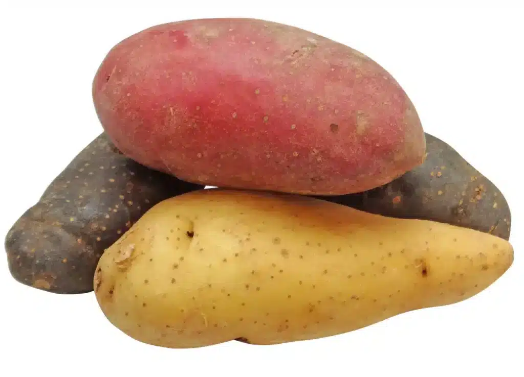 Come si coltivano le patate! 2 metodi diversi! 5 Come si coltivano le patate! 2 metodi diversi! patate diverse