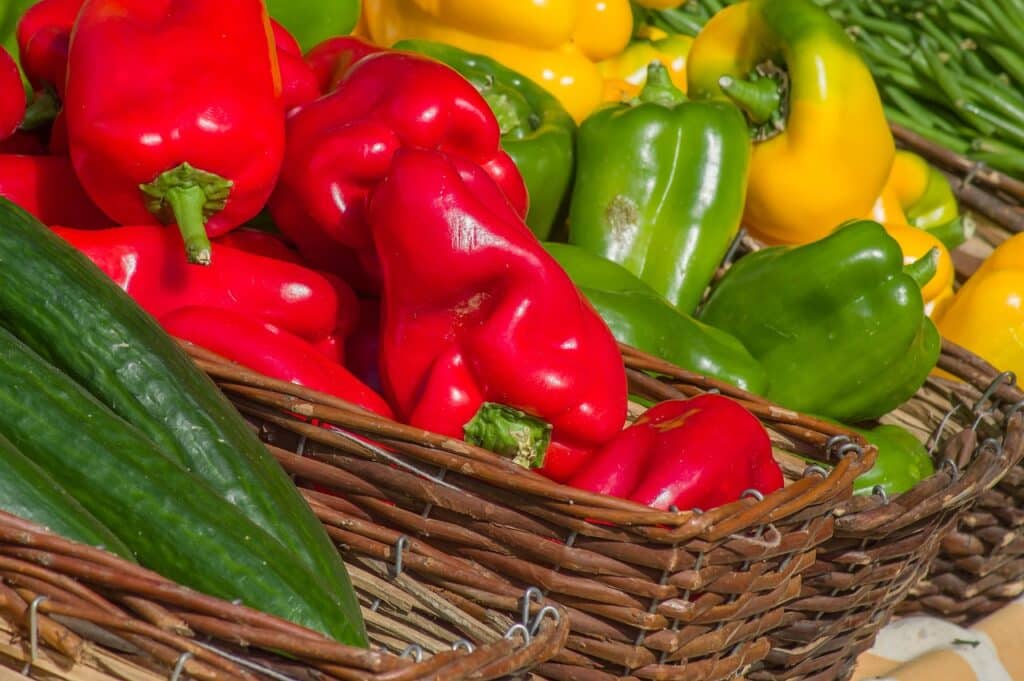 Come coltivare i peperoni! 4 consigli! 3 Come coltivare i Peperoni nell'orto - peperoni colorati