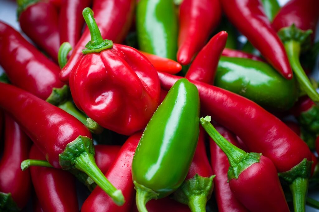 Come coltivare i peperoni! 4 consigli! 2 Come coltivare i Peperoni nell'orto - peperoncini piccanti