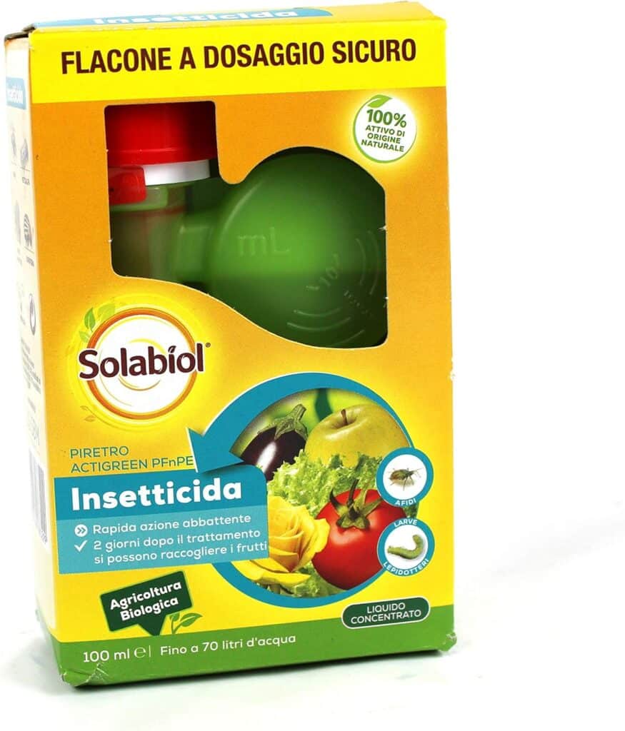 Melanzane: dalla semina al raccolto! 7 piretro