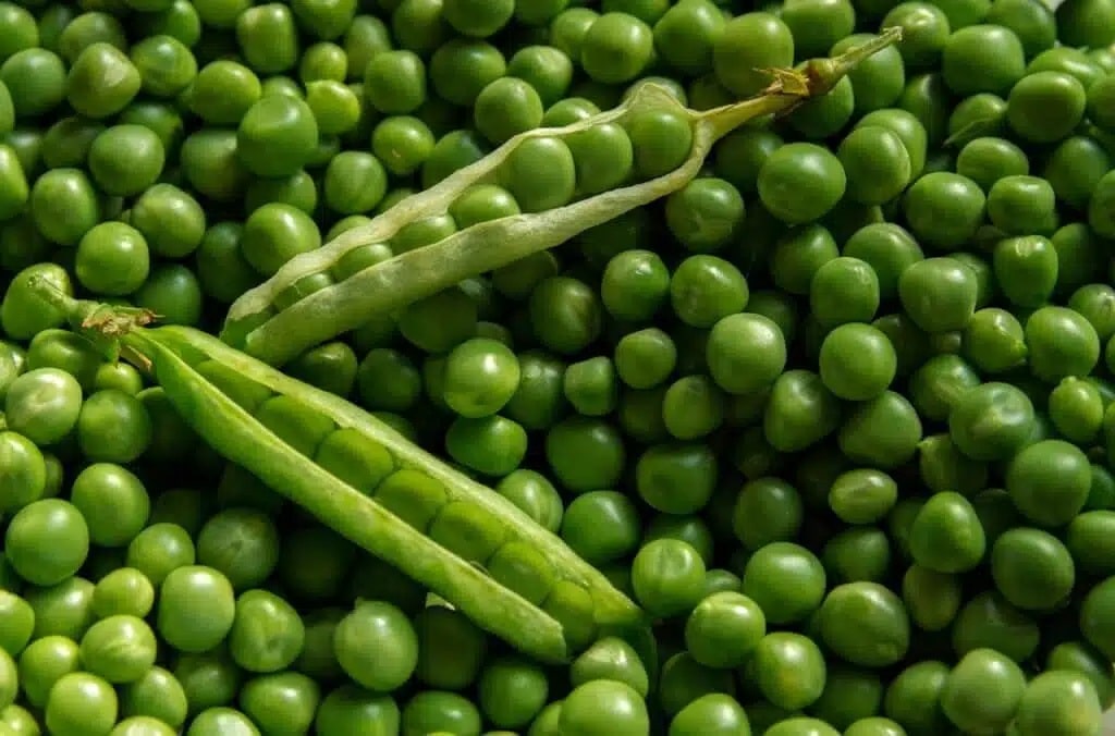 Semine di febbraio nell'orto e nel semenzaio! 20 ortaggi ed aromatiche! 5 Semine di febbraio - piselli