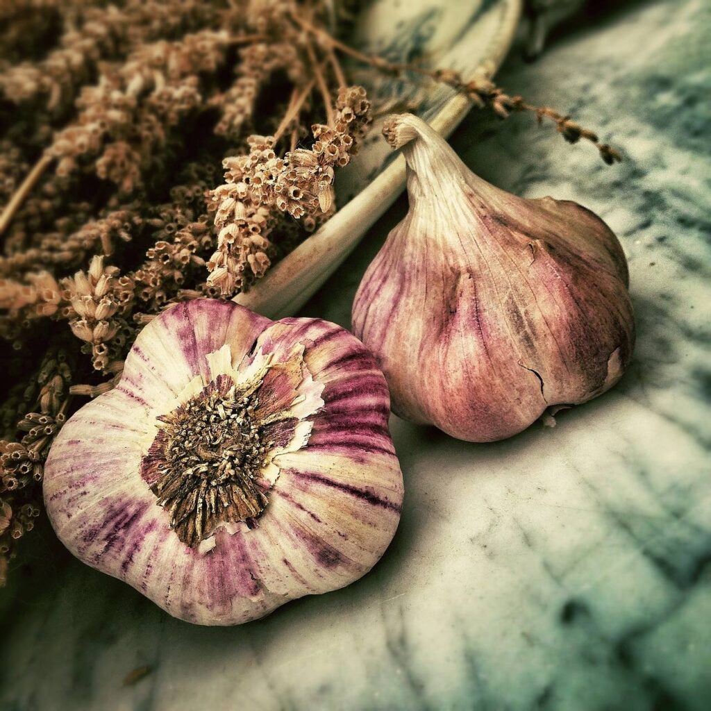 Aglio: dalla semina alla raccolta! 6 consigli! 3 aglio 3